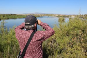 El Salar de los Canos es el único humedal natural del Levante almeriense.
