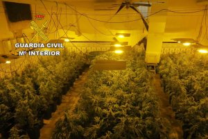 El único punto de acceso a la plantación era desde la vivienda colindante.