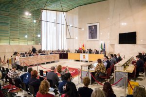 Imagen general del plenario de la capital