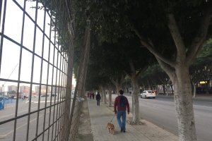 Situación en la que se encuentra la valla.