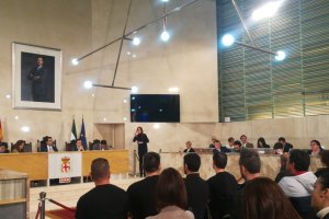 Pleno celebrado este viernes 2 de febrero.