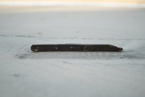 Fotografía de Marta Máñez.