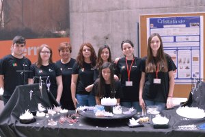 Alumnos del IES?Valle de Andarax de Canjáyar durante su exposición en la Universidad de Almería.