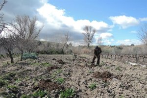 Habrá rebaja para conseguir el subsidio agrario.