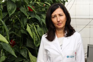 Maria Dolores Fernández, investigadora de la Estación Experimental de Cajamar.