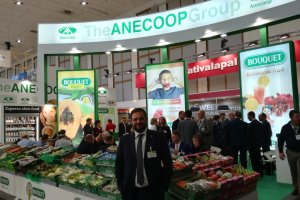 Ivan Rodríguez, director de la delegación de Anecoop en Almería.