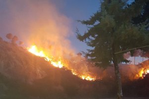 Incendio declarado esta tarde en Cabrera, Turre (Imagen de Bomberos del Levante).