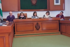 La alcaldesa de Mojácar, Rosa María Cano, durante el Pleno.