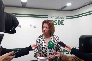 La diputada socialista almeriense Sonia Ferrer