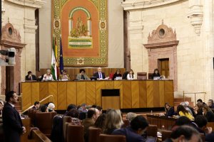 Pleno del Parlamento andaluz.