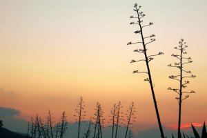Atardecer en el Parque Natural de Cabo de Gata.
