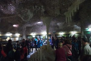 Una actividad muy demandada.