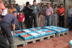 Pescado y marisco fresco desembarcado en la lonja de Almería, una actividad de la que viven más de mil familias.
