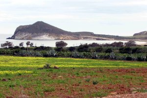 La bahía de Genoveses, cubierta de un manto de flores.