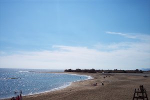 Playa de Villaricos, zona donde abunda la posidonia oceánica cuyo uso contrarresta el deterioro de la playa.