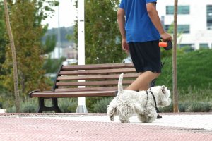 Propietario de un perro caminando por un parque en el municipio de El Ejido.
