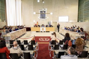 Visión general del salón de plenos durante la sesión