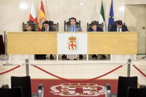 Pleno del Ayuntamiento de Almería celebrado esta mañana.