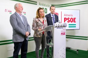 Los diputados y el senador del PSOE explicaron las cuentas