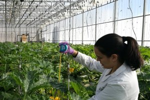 Ensayos en el centro experimental de Tecnova.