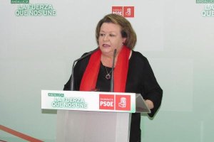 Portavoz del PSOE en la Diputación de Jaén.