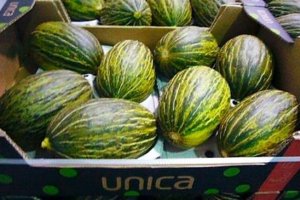 Melones