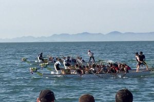 Dragones almerienses.