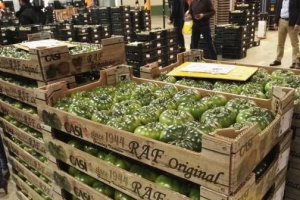 Envasado específico para diferenciar el auténtico raf.