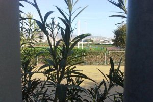 Imagen de este domingo por la mañana del Anexo.