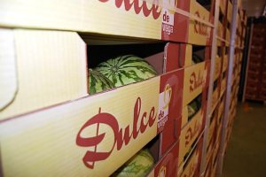 Sandías comercializadas por Vegacañada