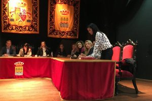 Lorena Ibanovich durante el pleno celebrado ayer.