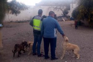 Imagen cedida por la Policía Nacional en la que un agente se encuentra en el interior del cortijo en el que se han producido las sustracciones. 