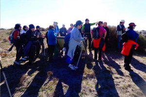 Actividades mayores.