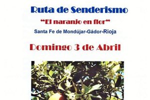 Una ruta que no te puedes perder.