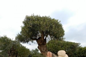 Algunas de las esculturas de Kampschulte en Cactus Níjar.