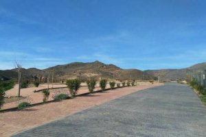 Una de las salidas de este pequeño municipio.