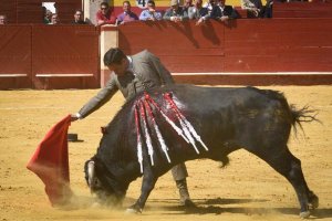 Torres Jerez, durante el festival del domingo (Foto: Baltasar Gálvez).