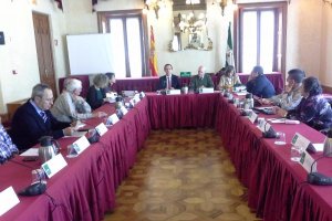 Reunión del Consejo Provincial de Mayores.