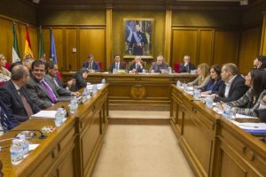Vista del pleno celebrado este viernes en la Diputación de Almería. LA VOZ