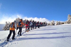 Una actividad de lo más natural te espera.