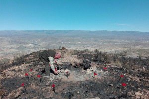 Trabajos de medición y análisis en el lugar del incendio.
