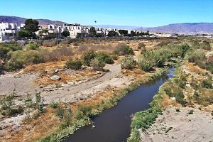 Los mosquitos y la suciedad en los márgenes del río Andarax llevaron a Izquierda Unida a presentar denuncia ante la Fiscalía y una queja ante el Defe