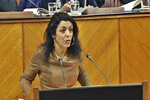 Marta Bosquet en un Pleno.