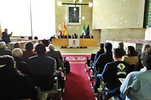 Reunión de la Mesa del Ruido en el salón de plenos