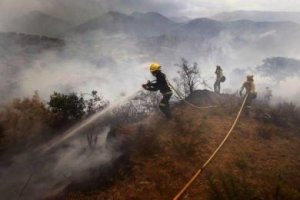 Fotografía del Plan Infoca durante las labores de extinción. 