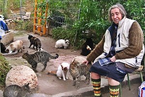 Lola  vive sola desde que murió su madre, pero se consuela sabiendo que siempre hay un gato que la espera.