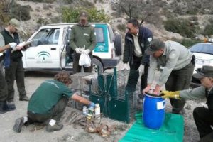 Instrumentos localizados en el coto, en una foto cedida por Serbal.
