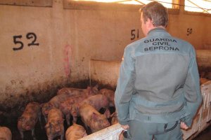 Hubo animales que murieron aplastados y otros por las heridas causadas.