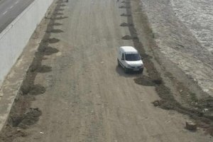 Zanjas donde serán ubicados los árboles.