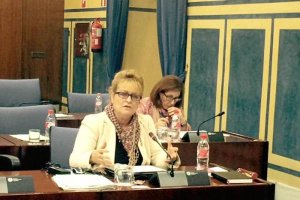 La parlamentaria socialista por Almería, Adela Segura, en primer plano.